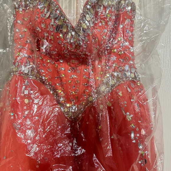 Quinceañera Dress - Picture 4 of 6